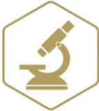 Research Icon