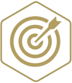 Targeted Solutions Icon
